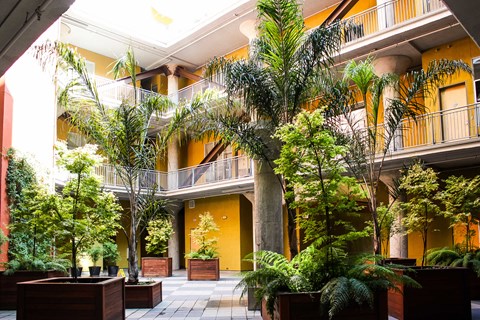 Common Area Courtyard